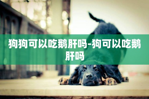 狗狗可以吃鵝肝嗎-狗可以吃鵝肝嗎
