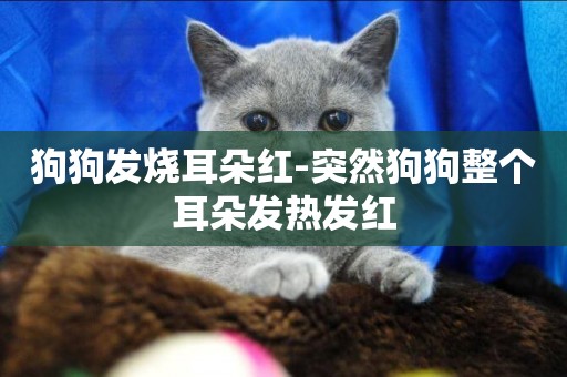 狗狗發燒耳朵紅-突然狗狗整個耳朵發熱發紅