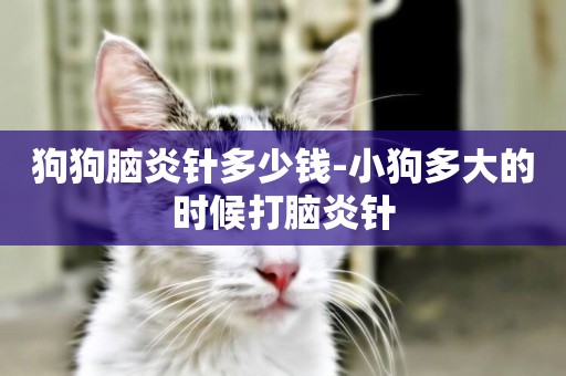 狗狗腦炎針多少錢-小狗多大的時候打腦炎針