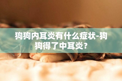 狗狗內耳炎有什么癥狀-狗狗得了中耳炎？