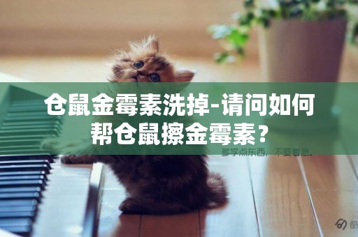 倉鼠金霉素洗掉-請問如何幫倉鼠擦金霉素？