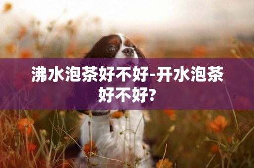 沸水泡茶好不好-開水泡茶好不好?
