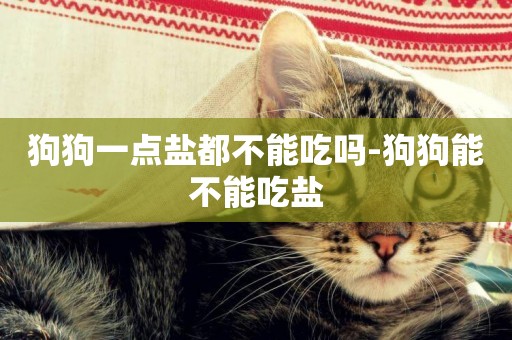 狗狗一點鹽都不能吃嗎-狗狗能不能吃鹽