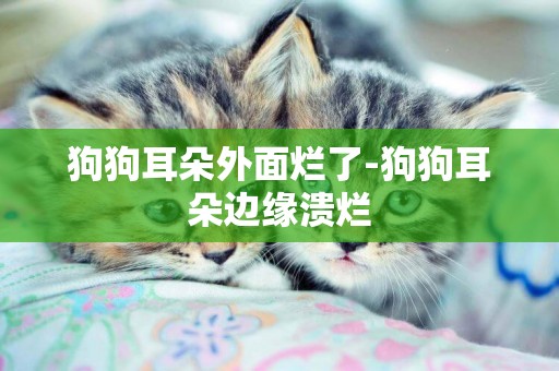 狗狗耳朵外面爛了-狗狗耳朵邊緣潰爛