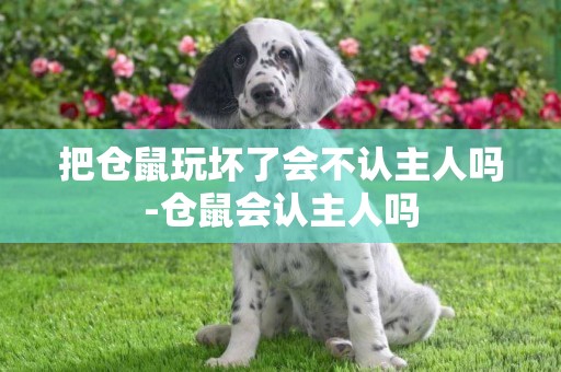 把倉鼠玩壞了會不認主人嗎-倉鼠會認主人嗎