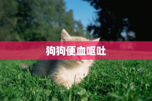 狗狗便血嘔吐