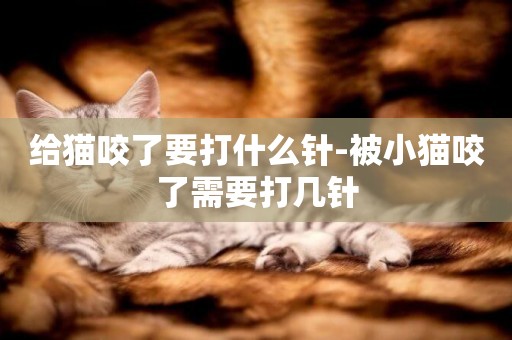 給貓咬了要打什么針-被小貓咬了需要打幾針