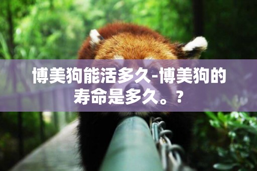 博美狗能活多久-博美狗的壽命是多久。?