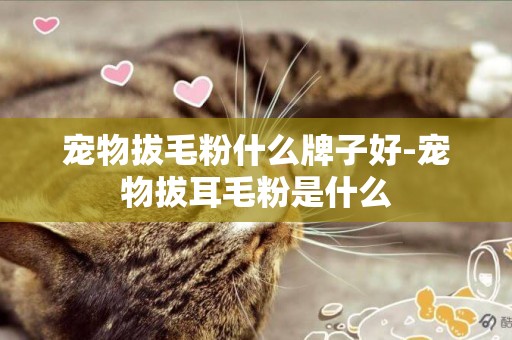 寵物拔毛粉什么牌子好-寵物拔耳毛粉是什么
