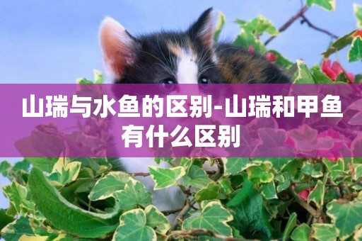 山瑞與水魚的區別-山瑞和甲魚有什么區別