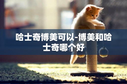 哈士奇博美可以-博美和哈士奇哪個好