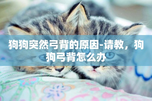 狗狗突然弓背的原因-請教，狗狗弓背怎么辦