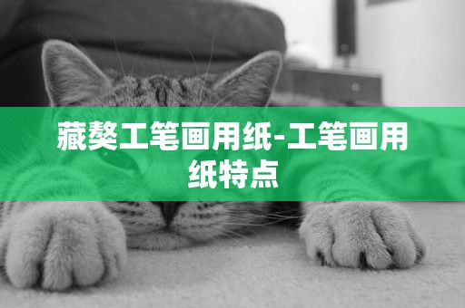 藏獒工筆畫用紙-工筆畫用紙特點