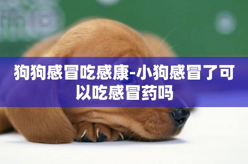 狗狗感冒吃感康-小狗感冒了可以吃感冒藥嗎