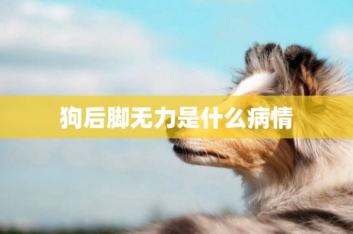 狗后腳無力是什么病情