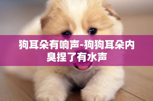 狗耳朵有響聲-狗狗耳朵內臭捏了有水聲