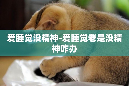 愛睡覺沒精神-愛睡覺老是沒精神咋辦