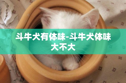 斗牛犬有體味-斗牛犬體味大不大
