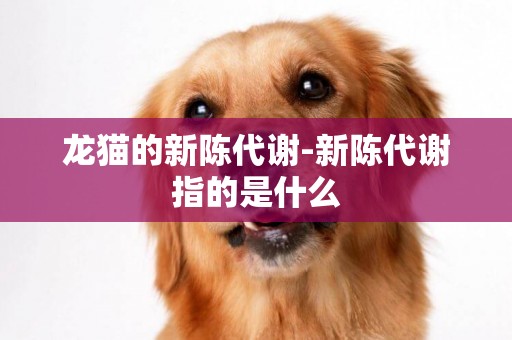 龍貓的新陳代謝-新陳代謝指的是什么