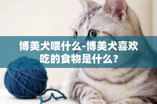博美犬喂什么-博美犬喜歡吃的食物是什么？