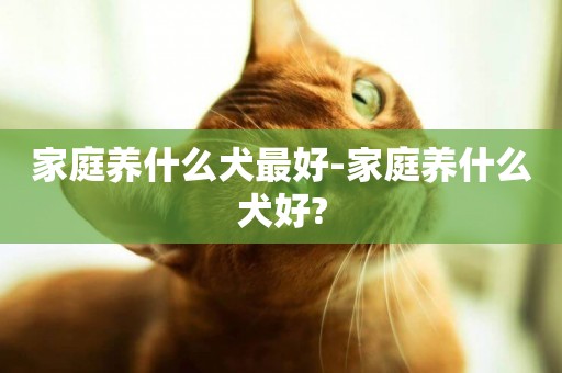 家庭養什么犬最好-家庭養什么犬好?