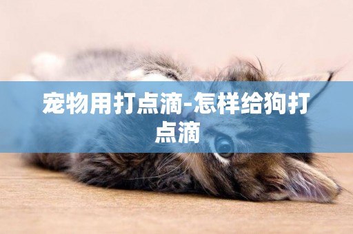 寵物用打點滴-怎樣給狗打點滴