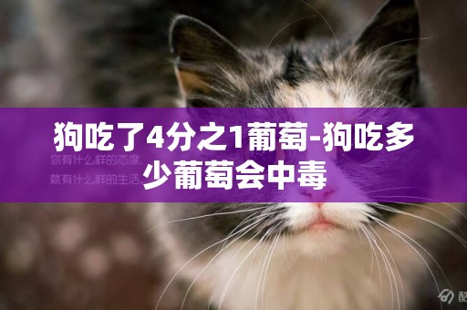 狗吃了4分之1葡萄-狗吃多少葡萄會中毒