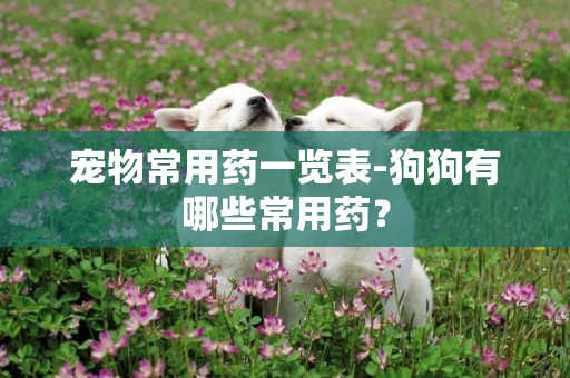 寵物常用藥一覽表-狗狗有哪些常用藥？