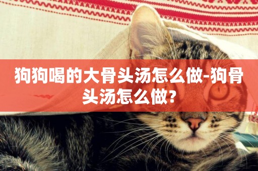 狗狗喝的大骨頭湯怎么做-狗骨頭湯怎么做？