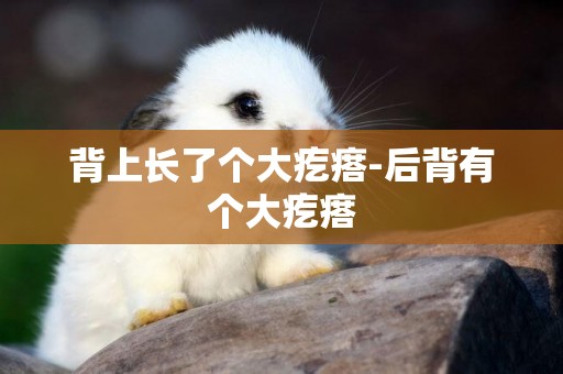 背上長了個大疙瘩-后背有個大疙瘩