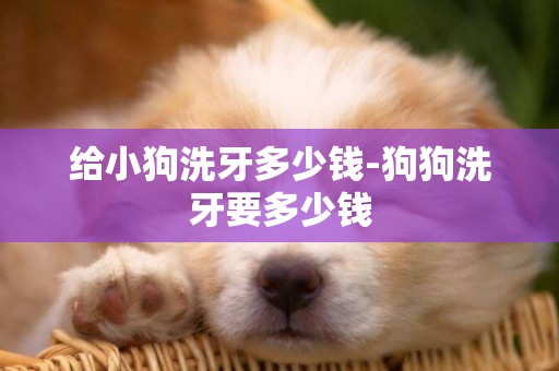 給小狗洗牙多少錢-狗狗洗牙要多少錢