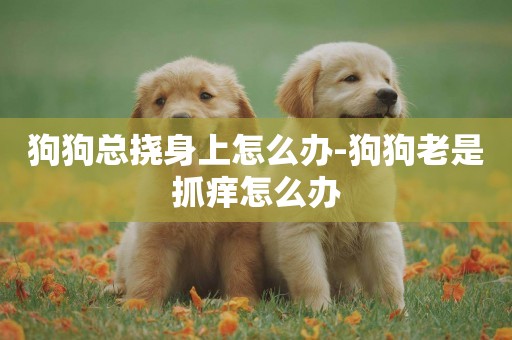 狗狗總撓身上怎么辦-狗狗老是抓癢怎么辦