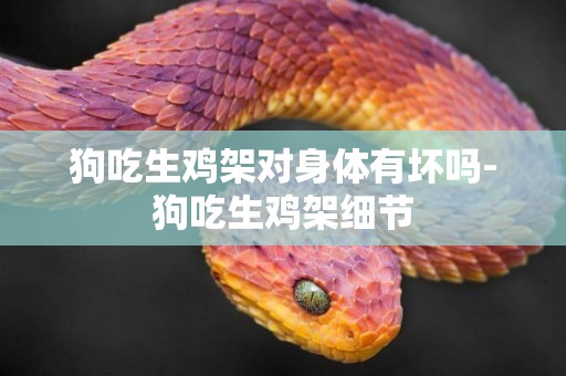 狗吃生雞架對身體有壞嗎-狗吃生雞架細節