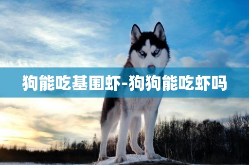 狗能吃基圍蝦-狗狗能吃蝦嗎