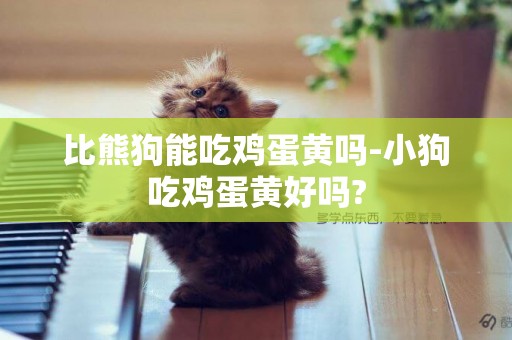 比熊狗能吃雞蛋黃嗎-小狗吃雞蛋黃好嗎?