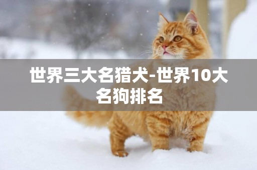 世界三大名獵犬-世界10大名狗排名