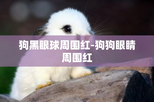 狗黑眼球周圍紅-狗狗眼睛周圍紅
