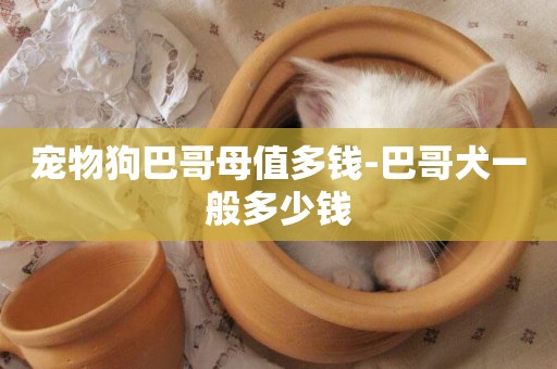 寵物狗巴哥母值多錢-巴哥犬一般多少錢