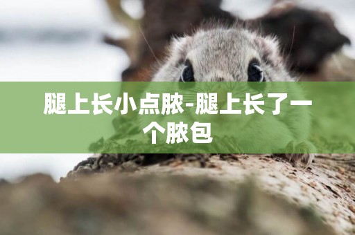 腿上長小點膿-腿上長了一個膿包