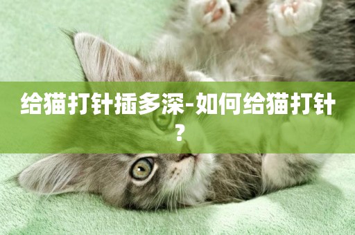 給貓打針插多深-如何給貓打針？