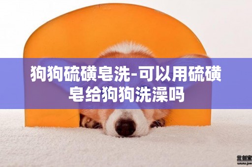 狗狗硫磺皂洗-可以用硫磺皂給狗狗洗澡嗎