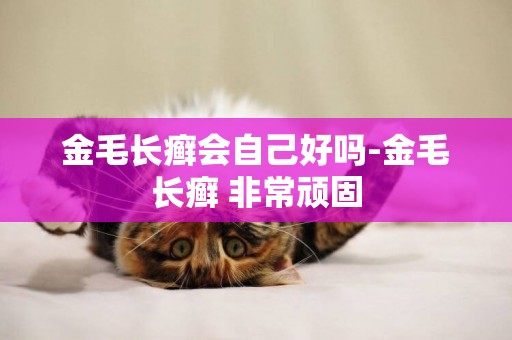 金毛長癬會自己好嗎-金毛長癬 非常頑固