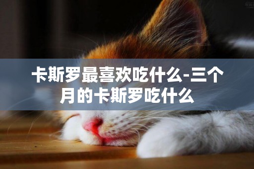 卡斯羅最喜歡吃什么-三個月的卡斯羅吃什么