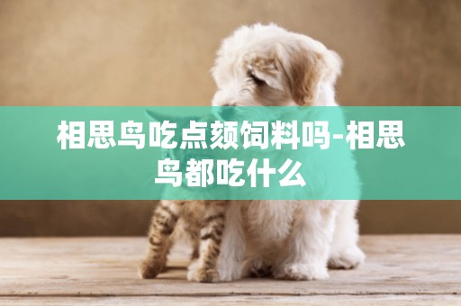 相思鳥吃點頦飼料嗎-相思鳥都吃什么