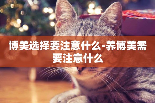 博美選擇要注意什么-養博美需要注意什么