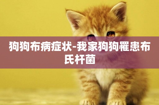 狗狗布病癥狀-我家狗狗罹患布氏桿菌