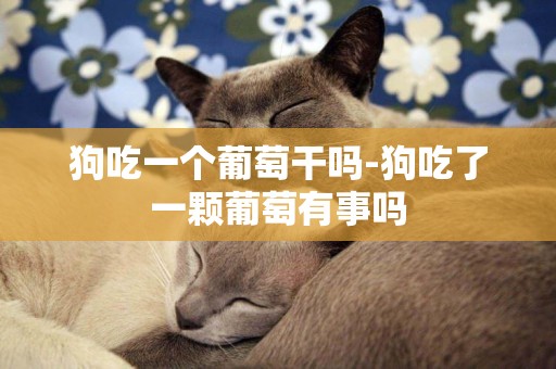 狗吃一個葡萄干嗎-狗吃了一顆葡萄有事嗎