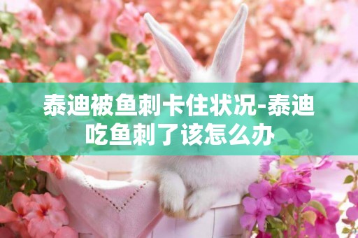 泰迪被魚刺卡住狀況-泰迪吃魚刺了該怎么辦