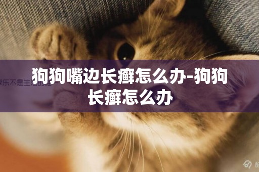 狗狗嘴邊長癬怎么辦-狗狗長癬怎么辦