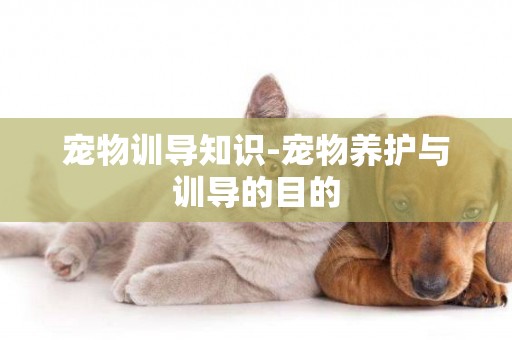 寵物訓導知識-寵物養護與訓導的目的